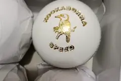 Which Ball Is Used in IPL? Here's Why It's Favored in T20 Matches